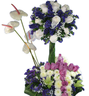CND049 - Condolencias