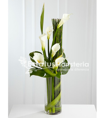 CND061 - Condolencias