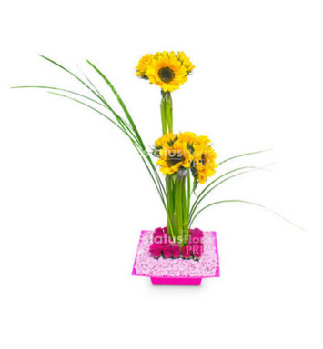 ELLA005 - Arreglo Floral para Ella