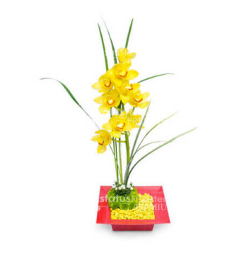 ORQ085 - Arreglo Floral de Orquídeas
