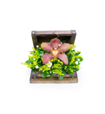 ORQ087 - Arreglo Floral de Orquídeas