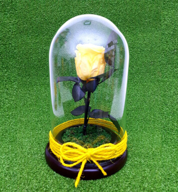 RE001- Rosa Eternizada