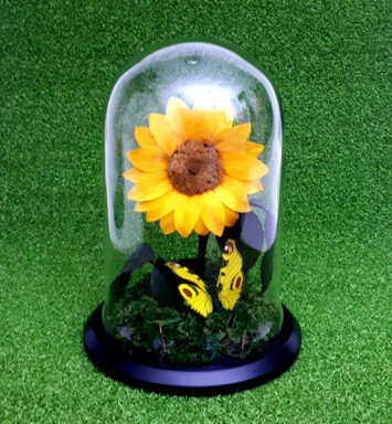 RE002- Girasol Eterno