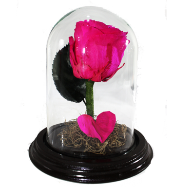 RE003- Rosa Eterna Pequeña