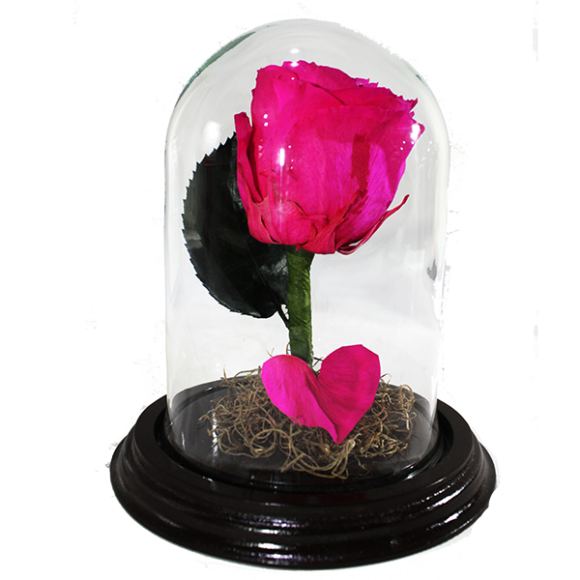RE003- Rosa Eterna Pequeña