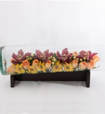 ORQ097 - ARREGLO DE ORQUÍDEAS