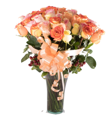 CMP079 - 50 ROSAS