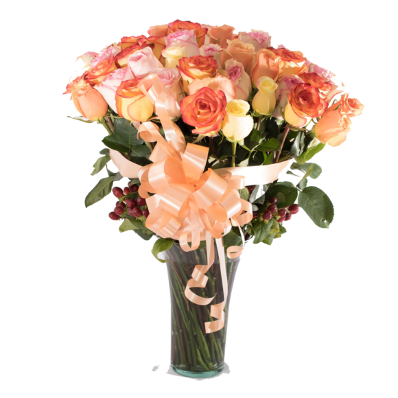CMP079 - 50 ROSAS