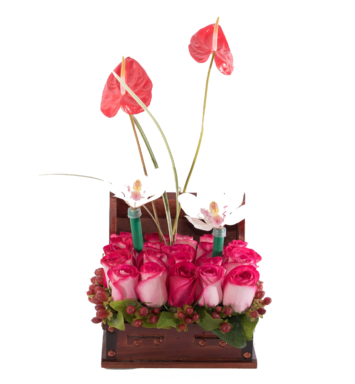 ORQ024 - Arreglo floral de orquídeas