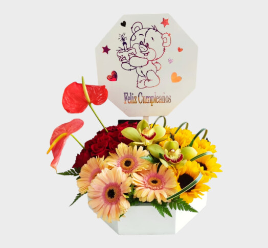 ORQ0101 – ORQUÍDEAS, GERBERAS, GIRASOLES, ROSAS