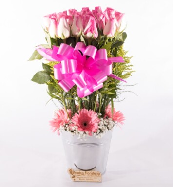 CMP086 – ROSAS