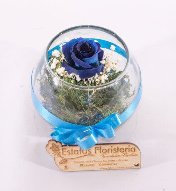 RE015- ROSAS ETERNA PEQUEÑA