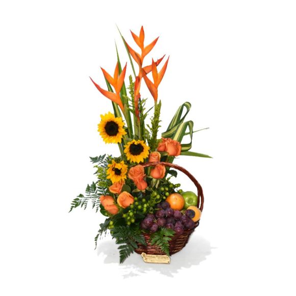 RCP066 - Flores y frutas