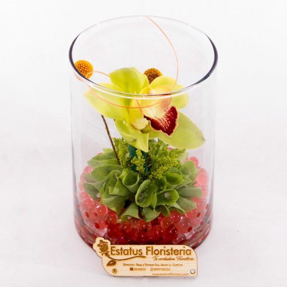 ORQ0103 – ORQUÍDEAS EN CILINDRO - Imagen 3