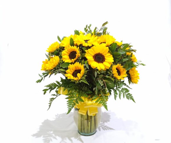 GIR012-FLORERO GIRASOLES