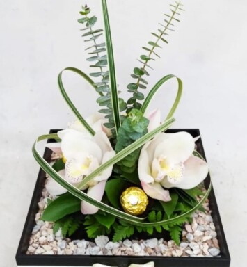 ORQ0113- ORQUÍDEAS