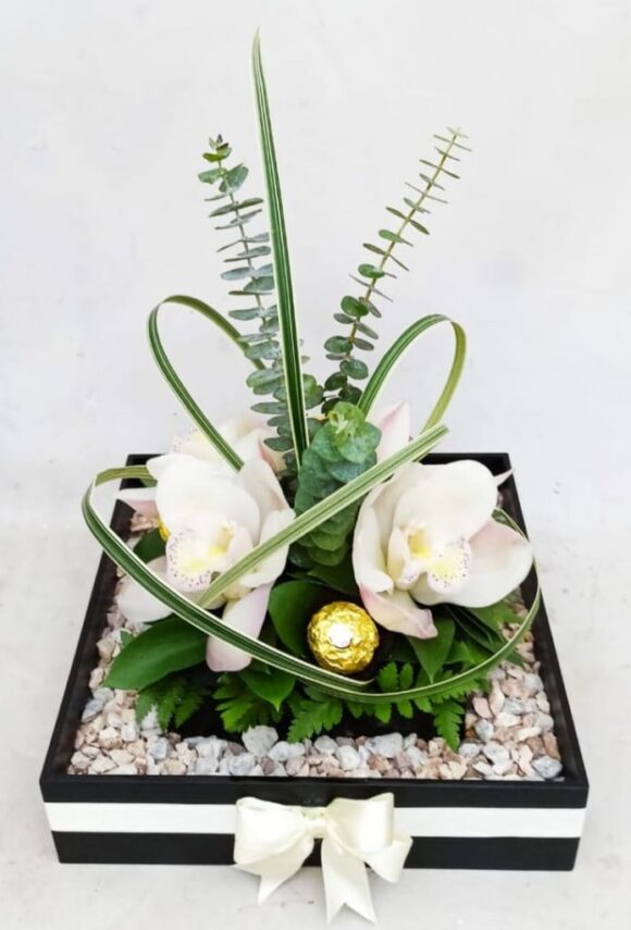 ORQ0113- ORQUÍDEAS