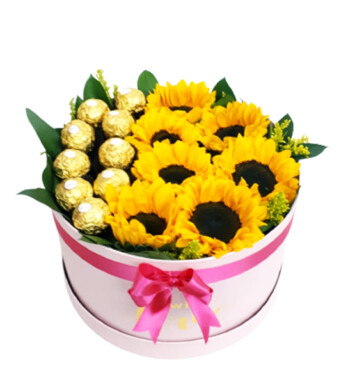 GIR013-GIRASOLES Y CHOCOLATES