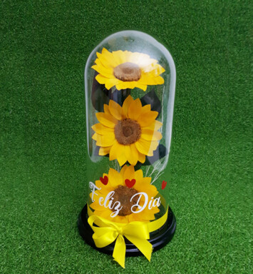 RE026 GIRASOL ETERNO