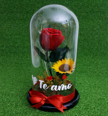 RE027 GIRASOL ETERNO
