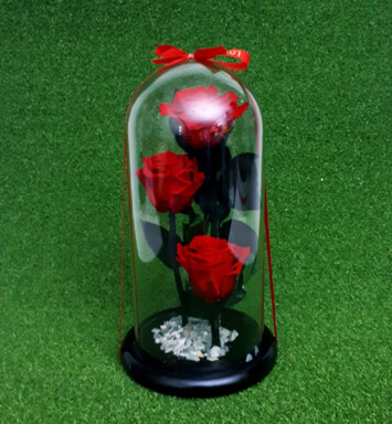RE034 ROSAS ETERNA