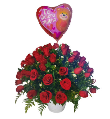 AMR0193 - Rosas rojas