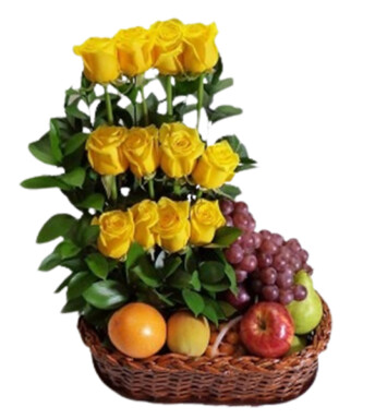 RCP070-RECUPERATE PRONTO
