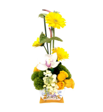 ORQ0116- ORQUÍDEA