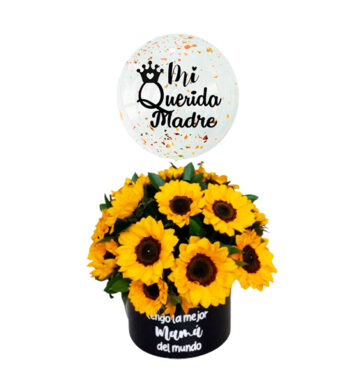 MA030-DÍA DE LA MADRE