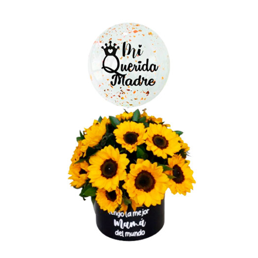 MA030-DÍA DE LA MADRE