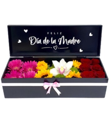 MA015-DÍA DE LA MADRE