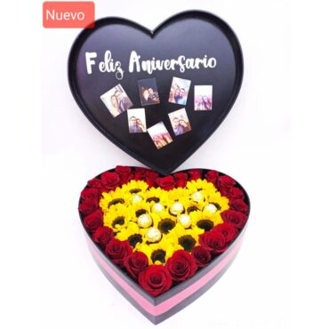 ANV006 – Aniversario