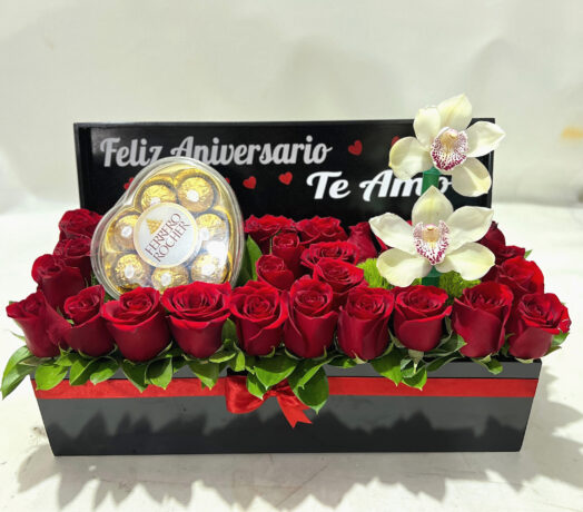 ANV003 - Aniversario