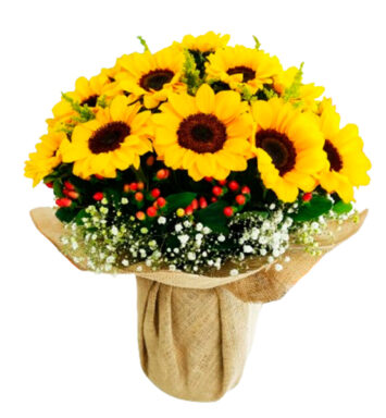 GIR018-GIRASOLES