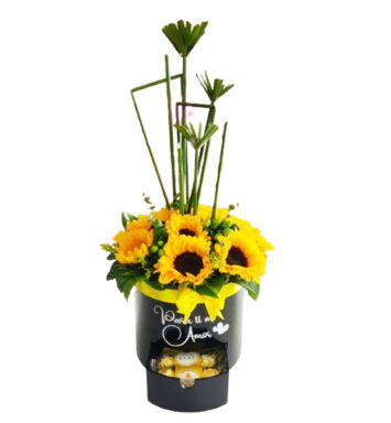 GIR014-GIRASOLES Y CHOCOLATES