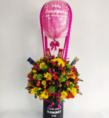 CMP0107-ARREGLO CUMPLEAÑOS
