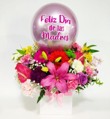 MA032-DÍA DE LA MADRE