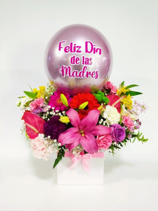 MA032-DÍA DE LA MADRE