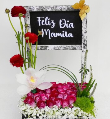 MA033-DÍA DE LA MADRE