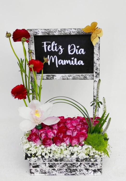 MA033-DÍA DE LA MADRE