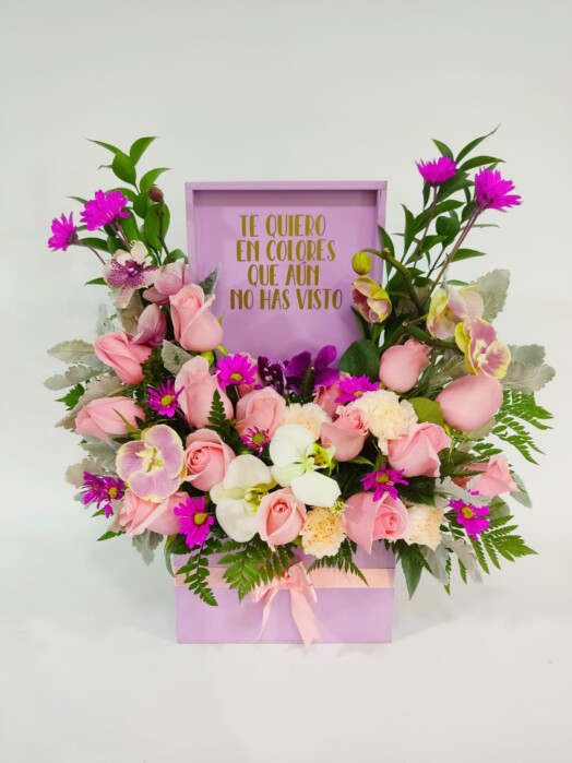 MA041-DÍA DE LA MADRE