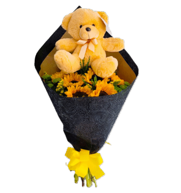 GIR033-GIRASOLES Y PELUCHE