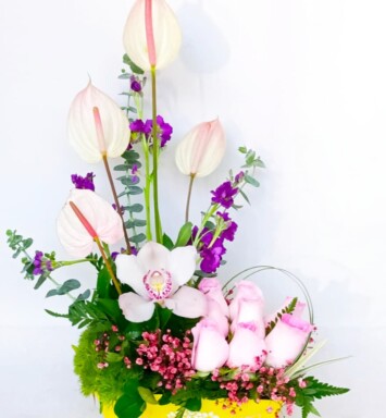 ORQ126 - ORQUÍDEAS Y ROSAS