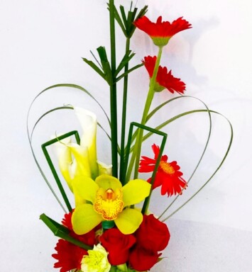 ORQ127 - ORQUÍDEAS COLORIDAS