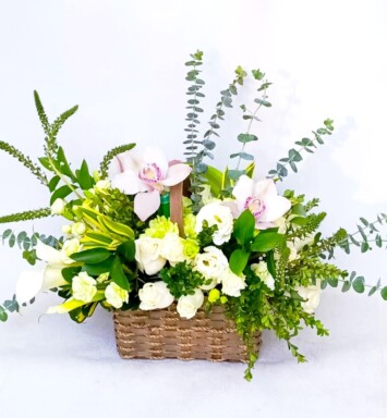 ORQ128 - ORQUÍDEAS BLANCAS
