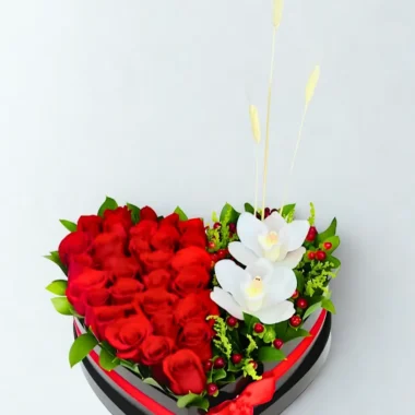 ORQ005 - Orquídeas para un detalle especial