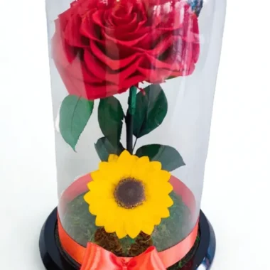 ETN005 - Rosa y girasol eternos