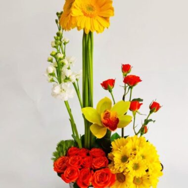 ORQ004 - Orquídea decorativa